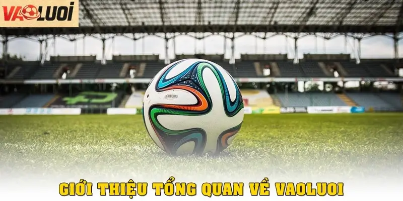 Giới thiệu tổng quan về Vào Lưới