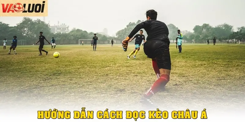 Hướng dẫn cách đọc kèo châu Á