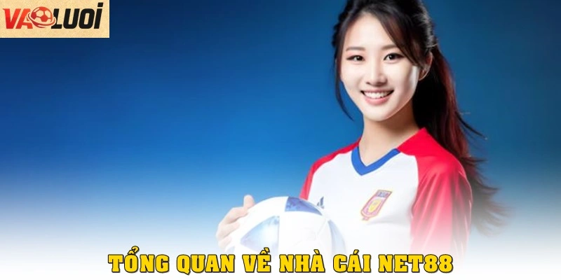 Tổng quan về nhà cái thể thao Net88