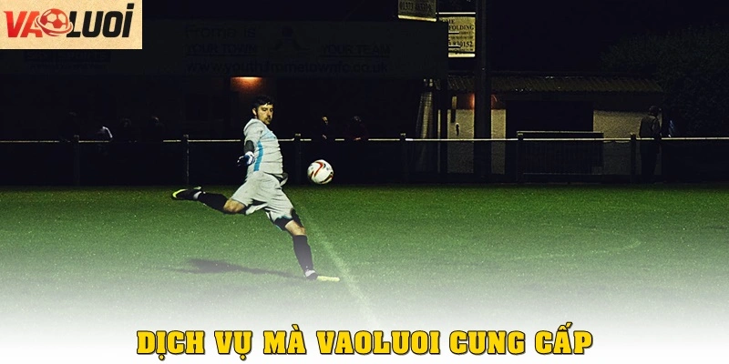 Trang web Vualuoi cung cấp những gì?
