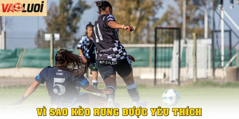 Vì sao kèo rung được yêu thích?